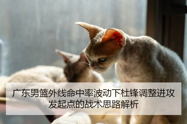 广东男篮外线命中率波动下杜锋调整进攻发起点的战术思路解析